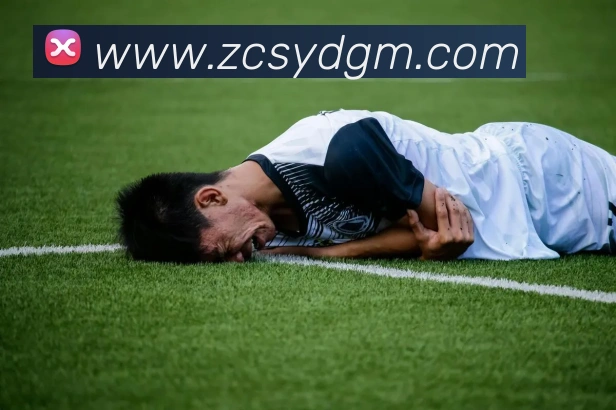 多媒体互动体验